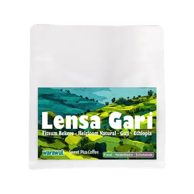 Lensa Gari