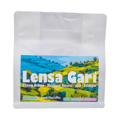 Lensa Gari